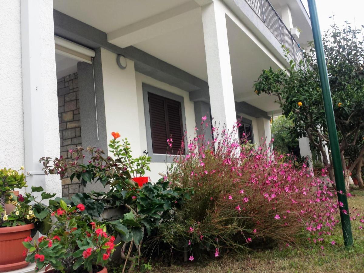 Guest House Djonovic Petrovac na moru Exterior foto