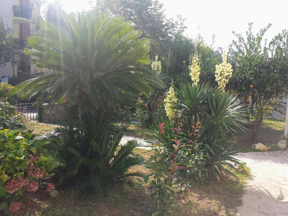 Guest House Djonovic Petrovac na moru Exterior foto